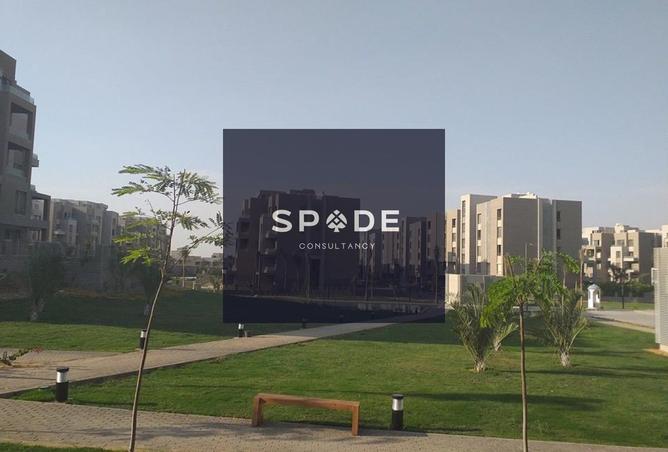 8151630 - Property Image 2
