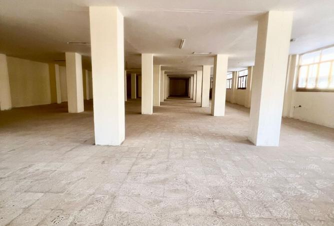 8103301 - الصورة الرئيسية للعقار