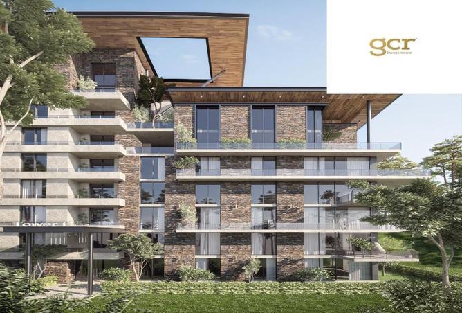 8392984 - Property Image 2