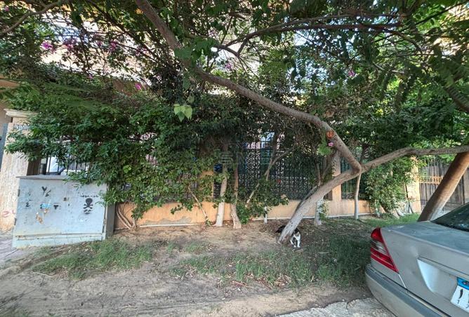 7995100 - Property Image 3