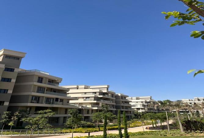 8010152 - Property Image 3