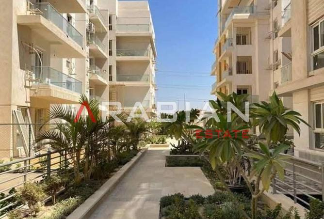 7947998 - Property Image 3