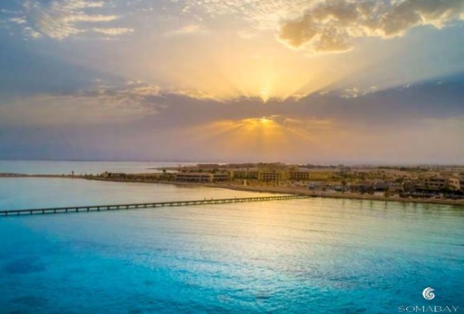 7916989 - صورة العقار 3
