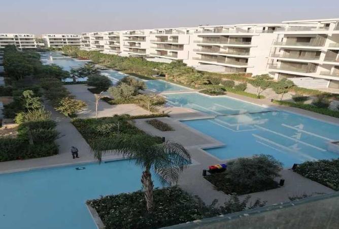 7916778 - Property Image 3