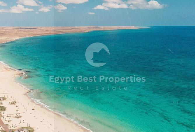 7897691 - صورة العقار 3