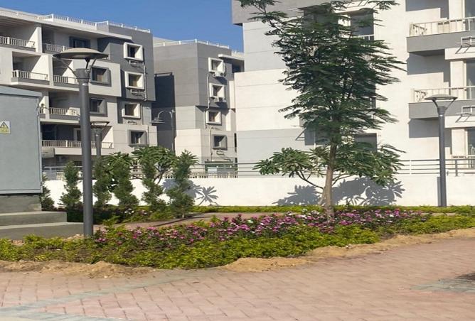 8103521 - Property Image 3