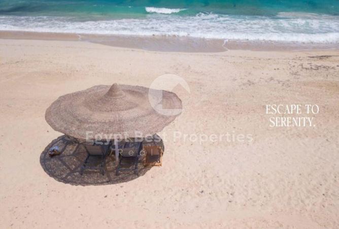 7891388 - Property Image 3