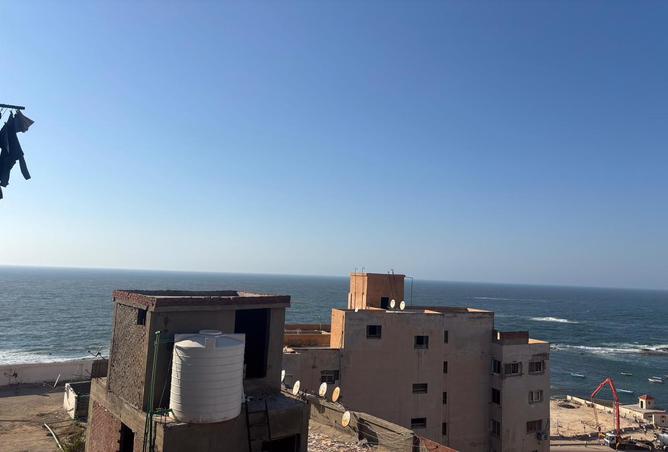 7980214 - Property Image 2