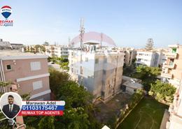 Apartment - 3 bedrooms - 2 bathrooms for للايجار in Al Nasr St. - Al Maamoura - Hay Than El Montazah - Alexandria