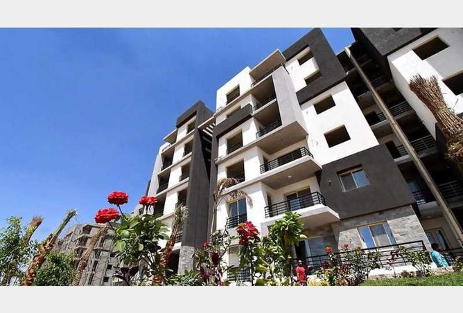 8448762 - Property Image 2