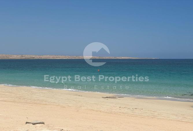 7983731 - Property Image 2