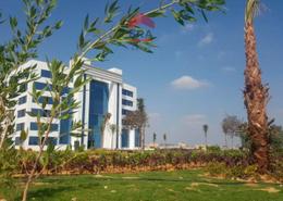 Whole Building for للبيع in Smart Village - Cairo Alexandria Desert Road - 6 October City - Giza