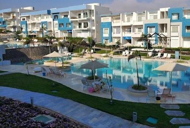 7986472 - صورة العقار 3