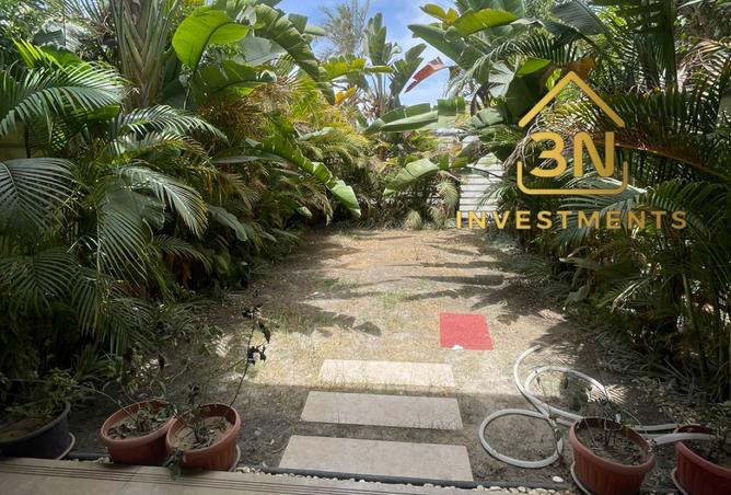 8203683 - صورة العقار 2