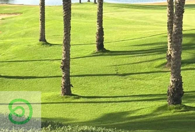 8293153 - Property Image 2