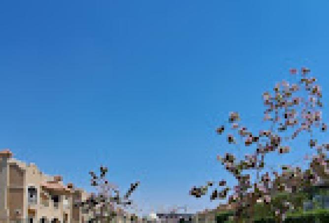 8446828 - Property Image 2