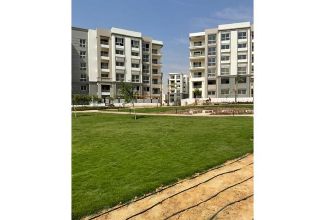 8052388 - Property Image 2