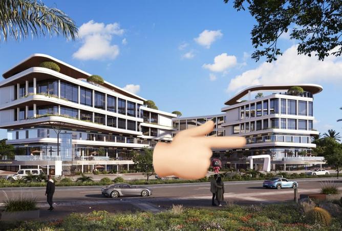 8131126 - Property Image 2