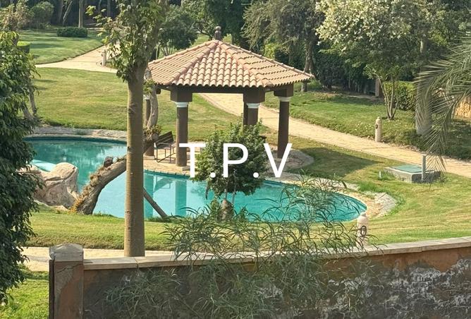 8280710 - Property Image 2