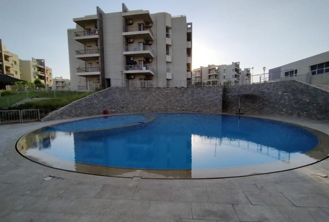 8396268 - Property Image 3