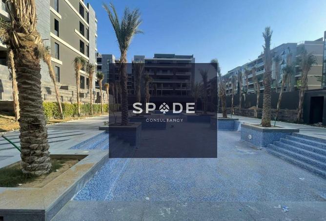 8539156 - Property Image 3