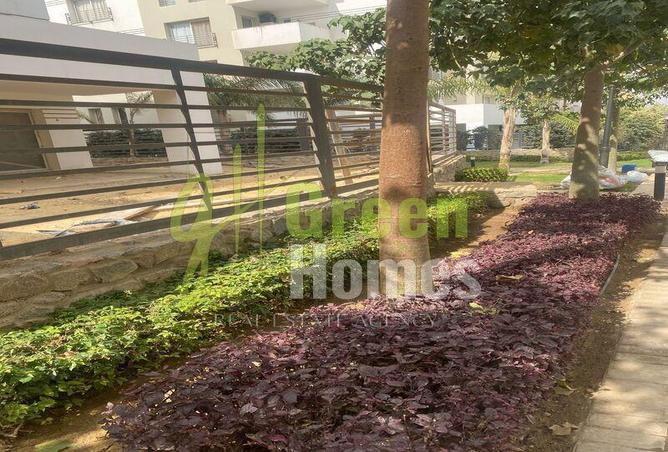 8270756 - Property Image 2