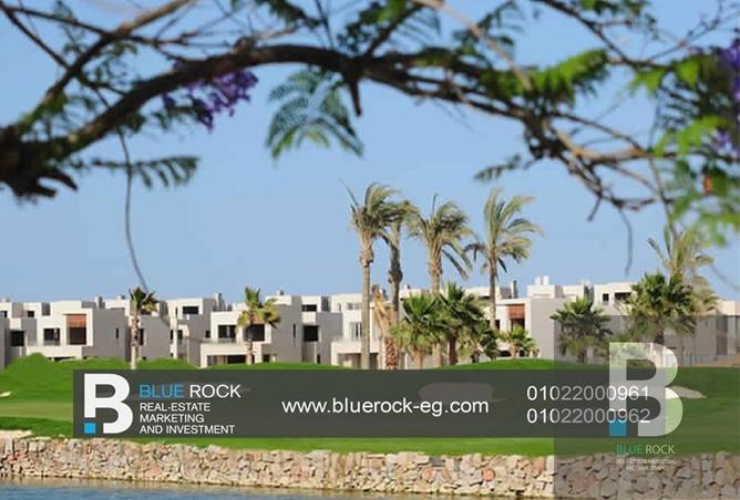 7920530 - Property Image 3