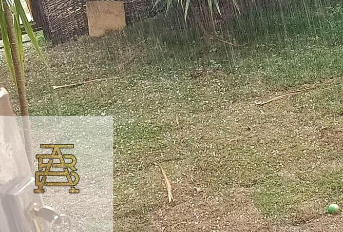 8388975 - Property Image 3