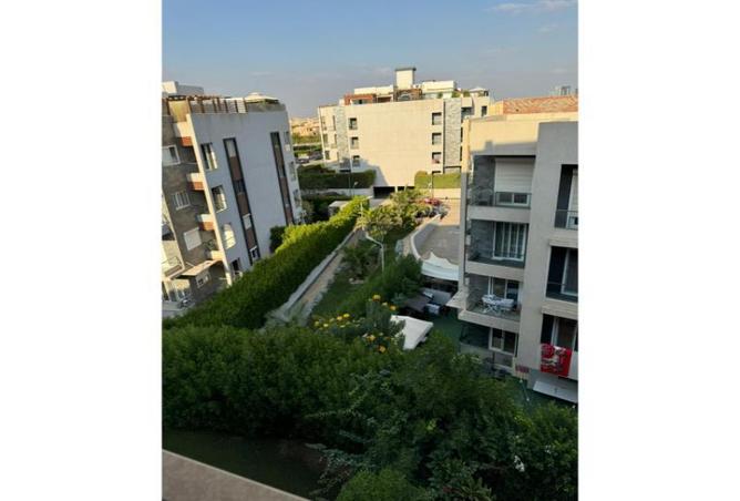 7981286 - صورة العقار 2