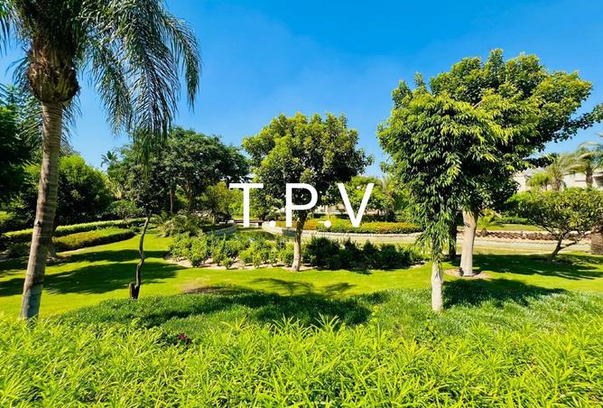 8229646 - صورة العقار 3