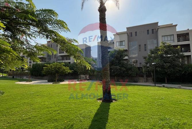 8210691 - الصورة الرئيسية للعقار