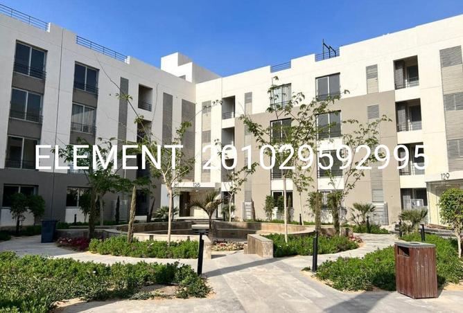 7903051 - صورة العقار 3