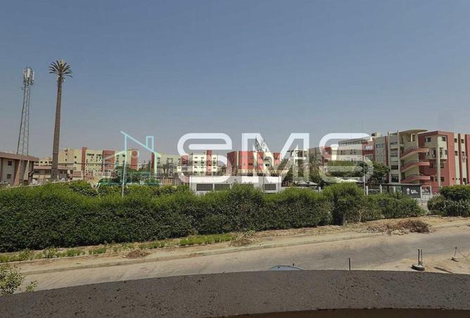 7913834 - صورة العقار 3