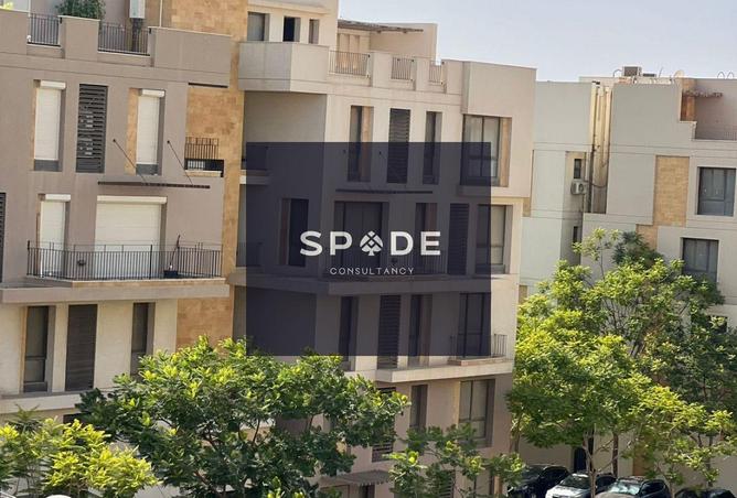 8029667 - صورة العقار 2