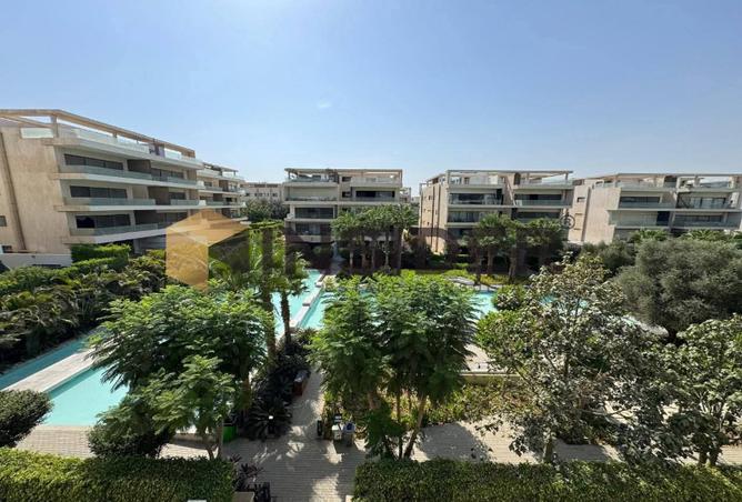 7972896 - Property Image 2
