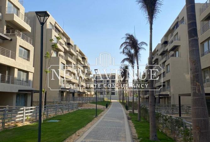 8196646 - Property Image 2