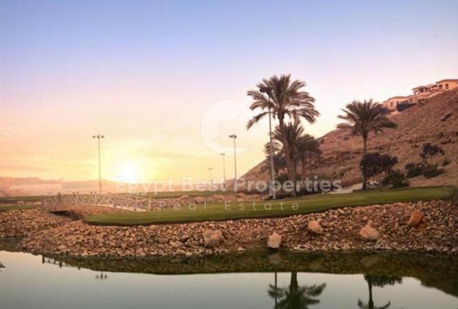 8203207 - Property Image 3