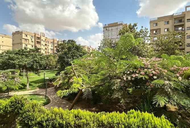 8242751 - الصورة الرئيسية للعقار