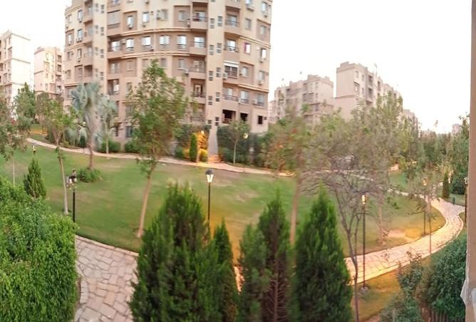 7895333 - صورة العقار 2