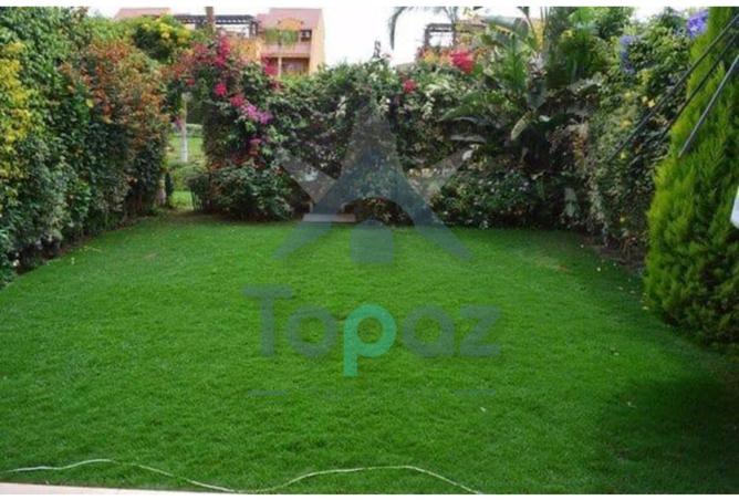 8206501 - صورة العقار 2