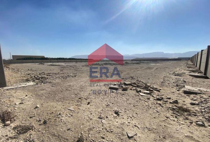 8208650 - صورة العقار 3