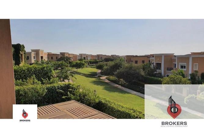 8176142 - صورة العقار 3