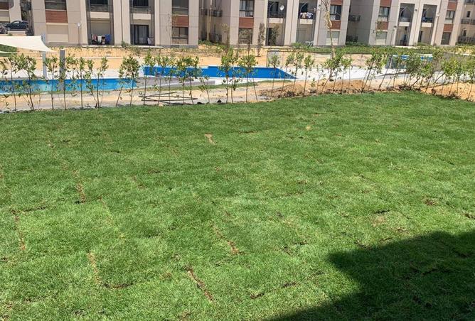 7985219 - صورة العقار 2