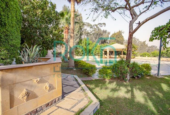 7896815 - صورة العقار 3