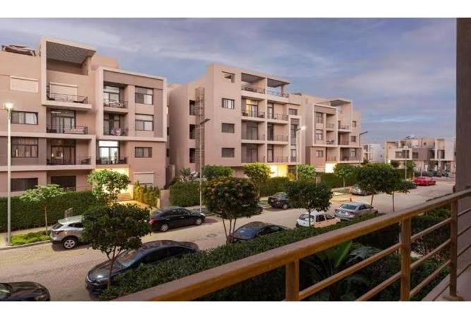 8268107 - Property Image 3