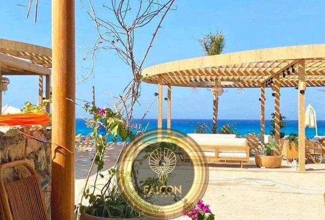 8096813 - صورة العقار 3
