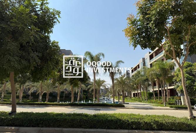 8063729 - Property Image 3