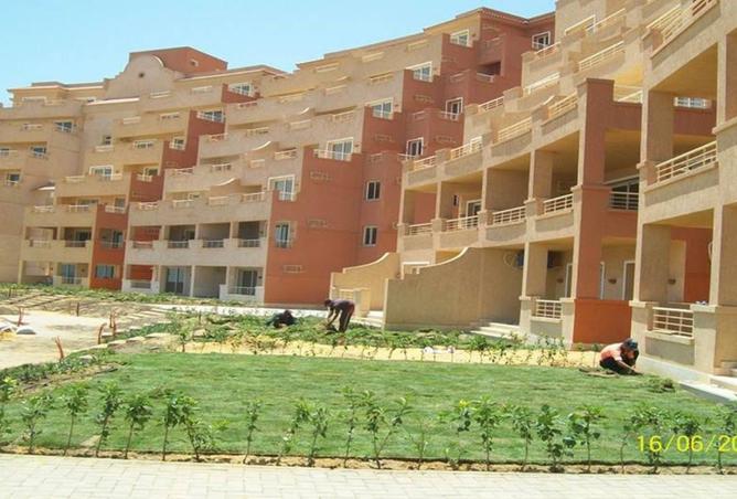 8197250 - صورة العقار 2