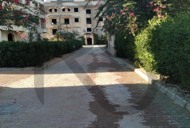 8228533 - صورة العقار 3