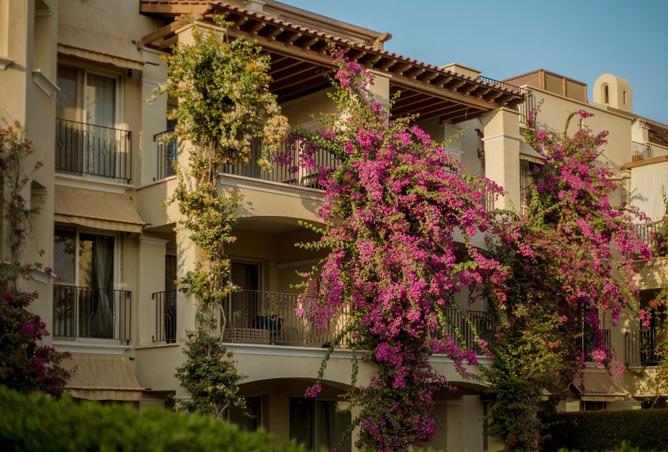 8217896 - Property Main Image